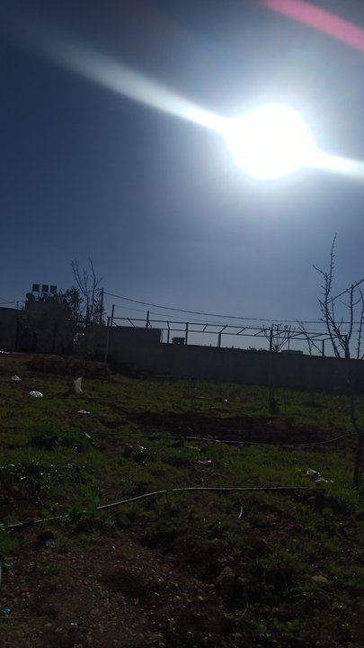 Mes publications Crowdsourcing