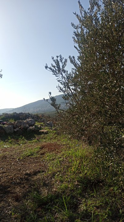 Mes publications Crowdsourcing