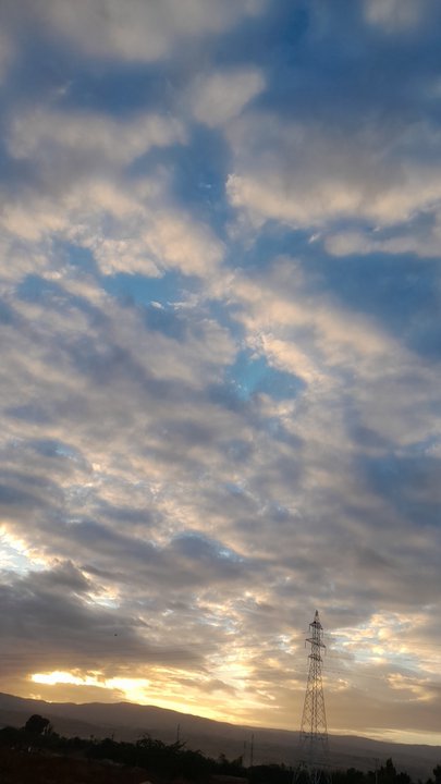 مشاركاتي في أنت الراصد