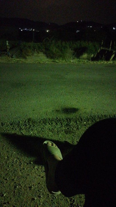 مشاركاتي في أنت الراصد