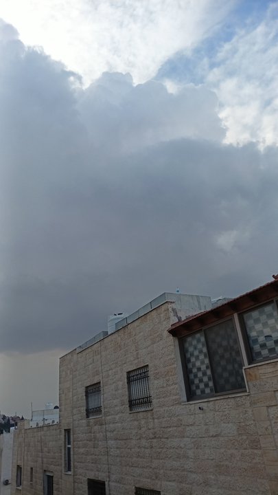 مشاركاتي في أنت الراصد