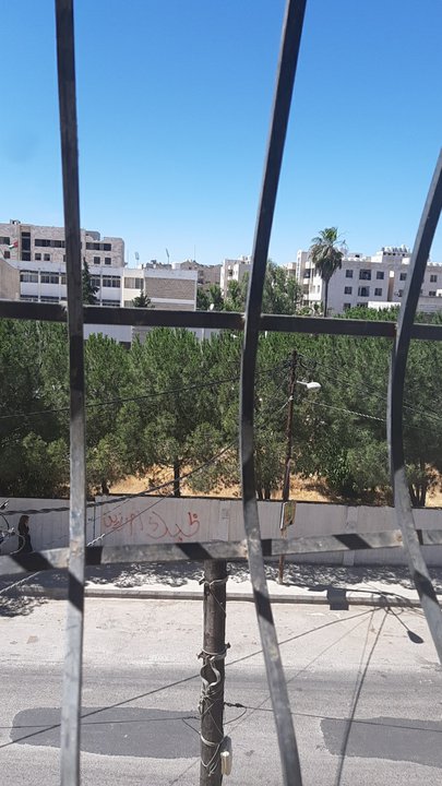 مشاركاتي في أنت الراصد