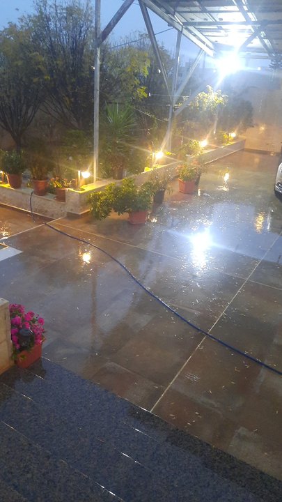 مشاركاتي في أنت الراصد