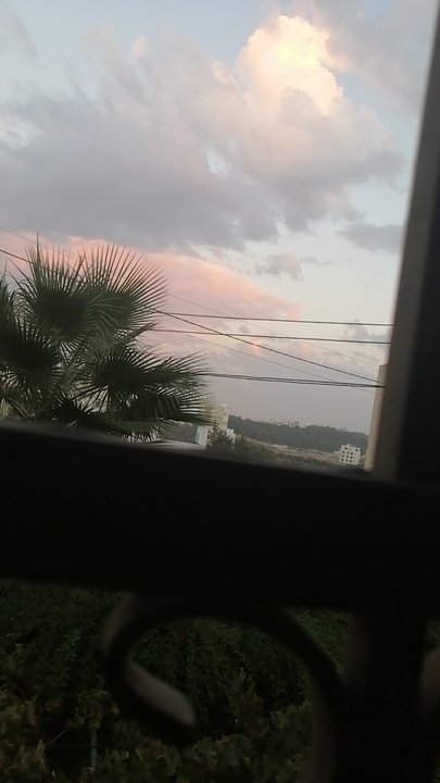 مشاركاتي في أنت الراصد