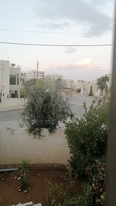 مشاركاتي في أنت الراصد