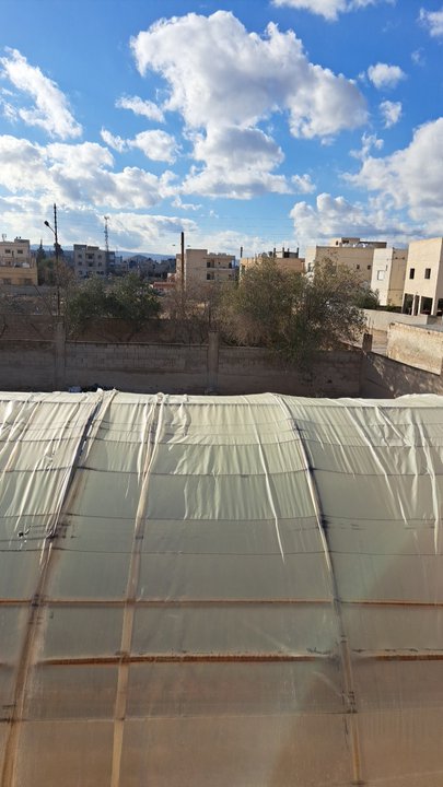 مشاركاتي في أنت الراصد