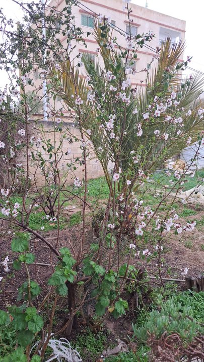 مشاركاتي في أنت الراصد