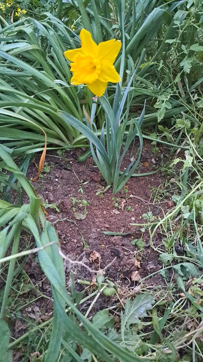 مشاركاتي في أنت الراصد