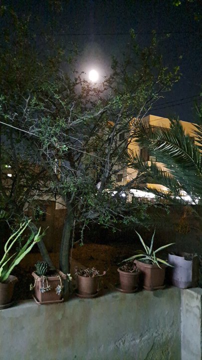 My Crowdsourcing Posts