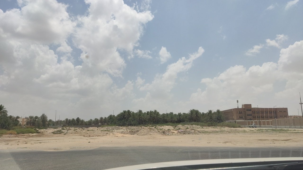 مشاركاتي في أنت الراصد