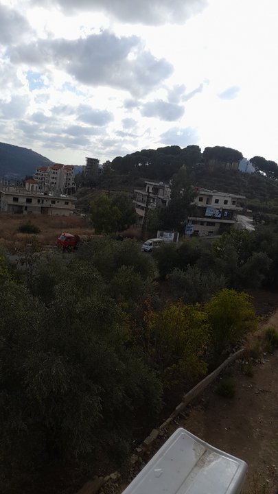 مشاركاتي في أنت الراصد