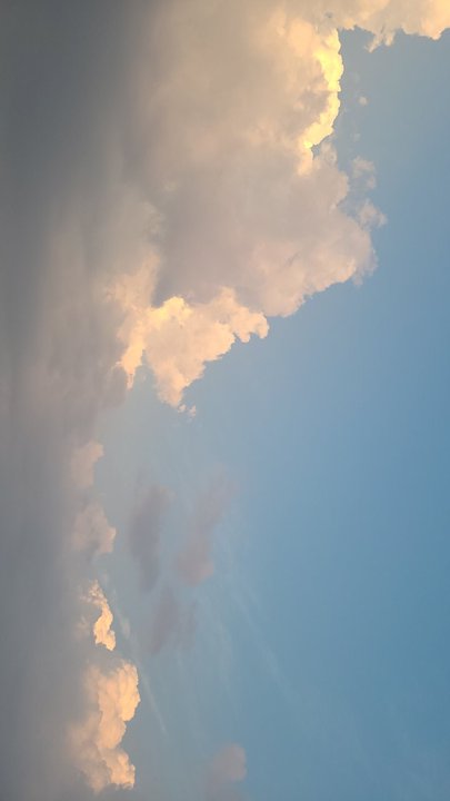 مشاركاتي في أنت الراصد