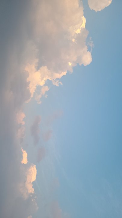 مشاركاتي في أنت الراصد