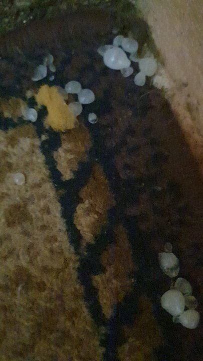 My Crowdsourcing Posts