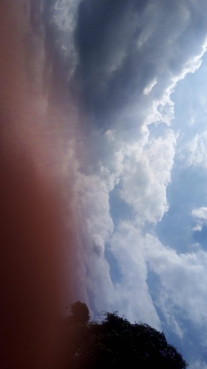 مشاركاتي في أنت الراصد