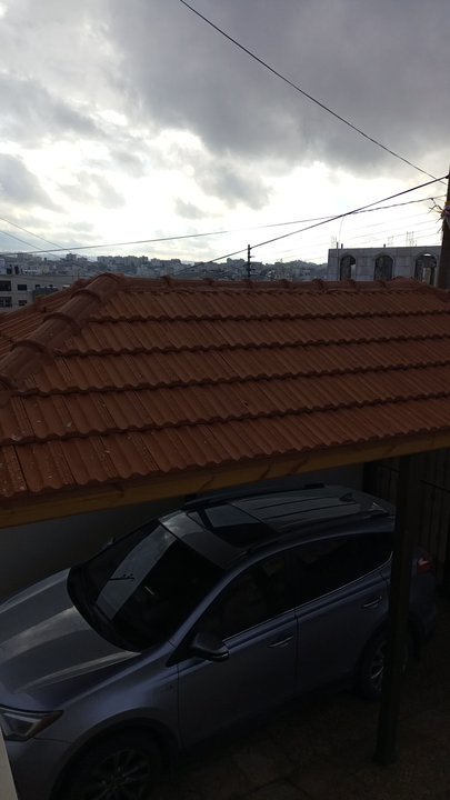 مشاركاتي في أنت الراصد