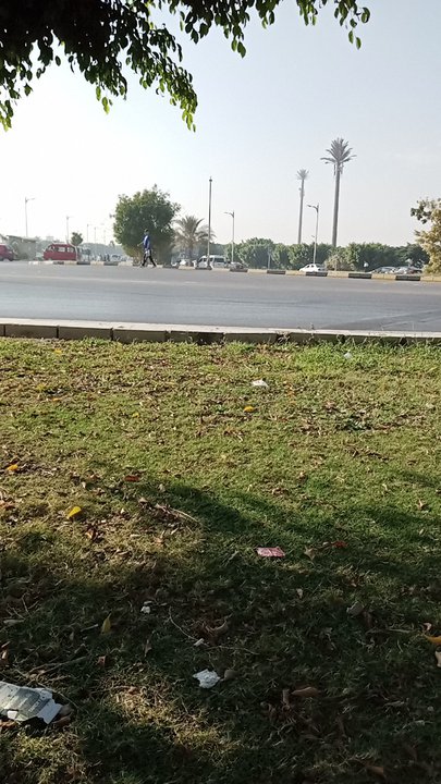 مشاركاتي في أنت الراصد