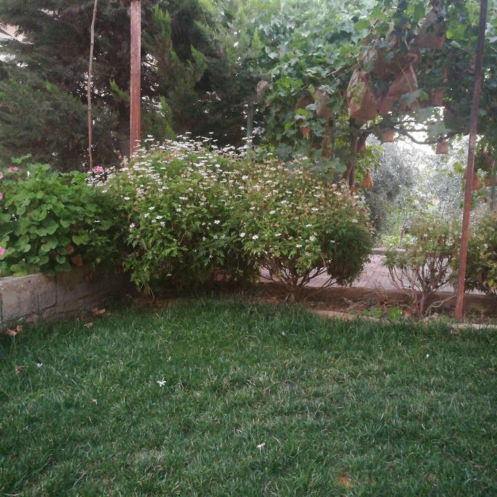 My Crowdsourcing Posts