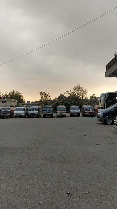 مشاركاتي في أنت الراصد