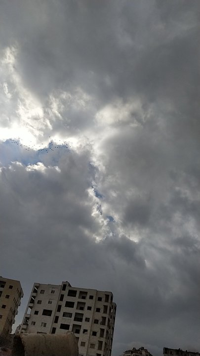 مشاركاتي في أنت الراصد