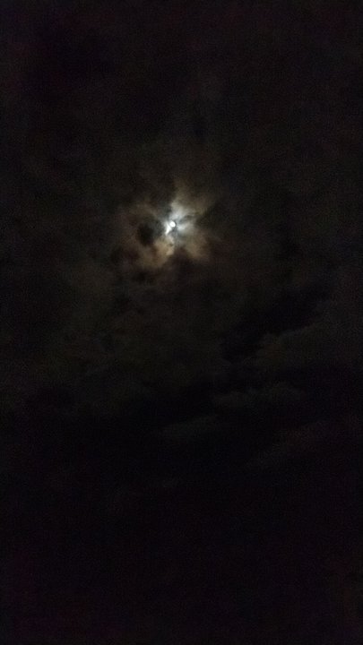 مشاركاتي في أنت الراصد