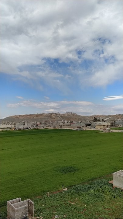 مشاركاتي في أنت الراصد