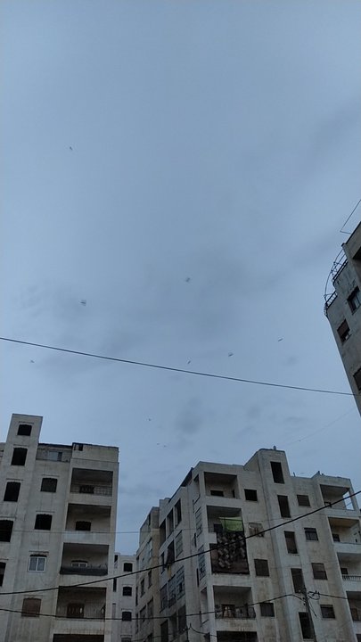 مشاركاتي في أنت الراصد