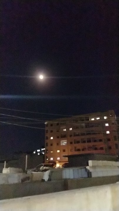 مشاركاتي في أنت الراصد