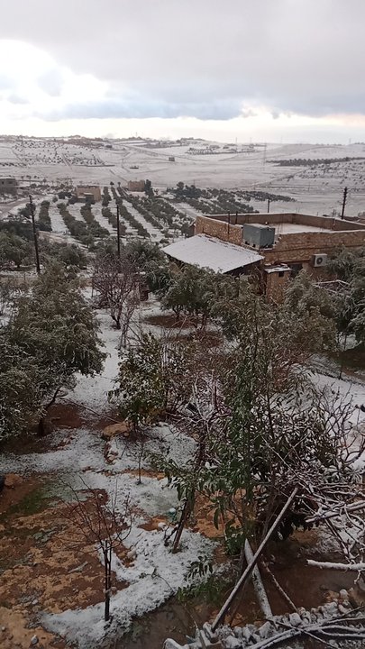 مشاركاتي في أنت الراصد