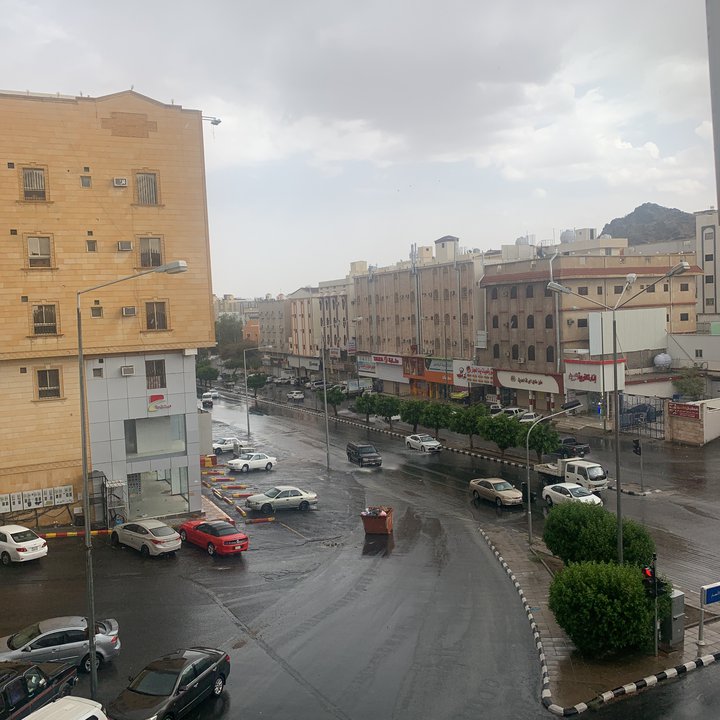 مشاركاتي في أنت الراصد