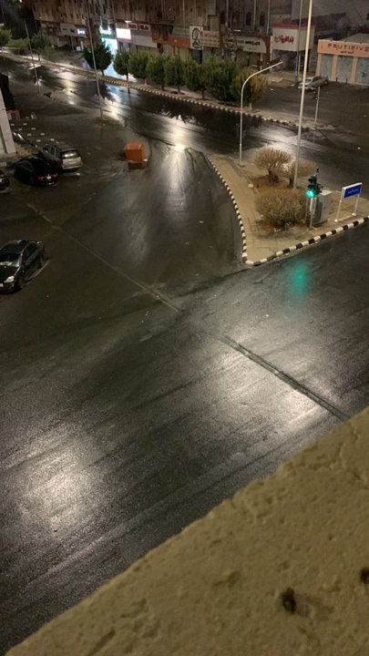 مشاركاتي في أنت الراصد