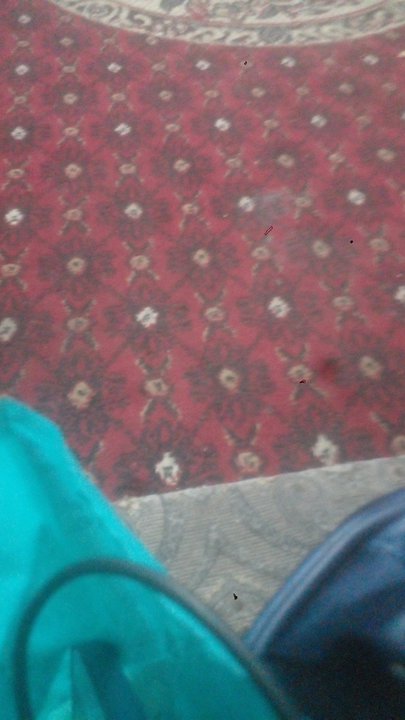 My Crowdsourcing Posts