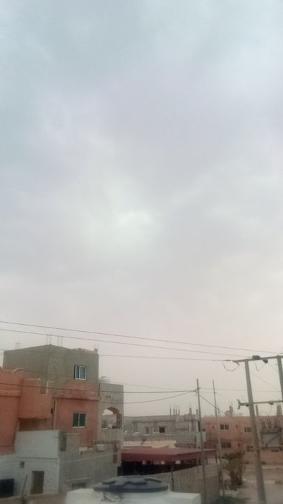 مشاركاتي في أنت الراصد