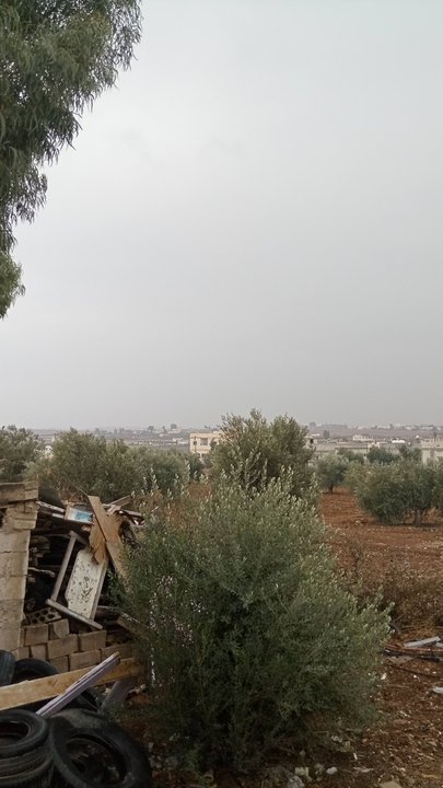 مشاركاتي في أنت الراصد