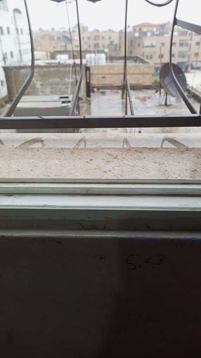 مشاركاتي في أنت الراصد