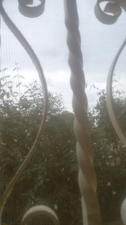 Mes publications Crowdsourcing