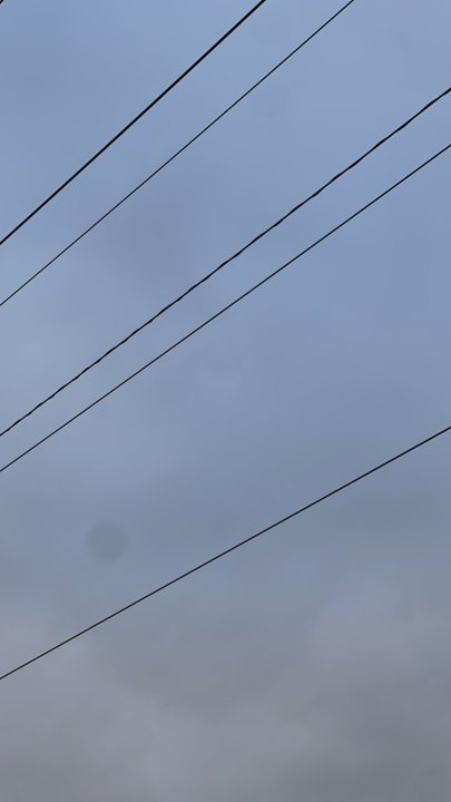 Mes publications Crowdsourcing