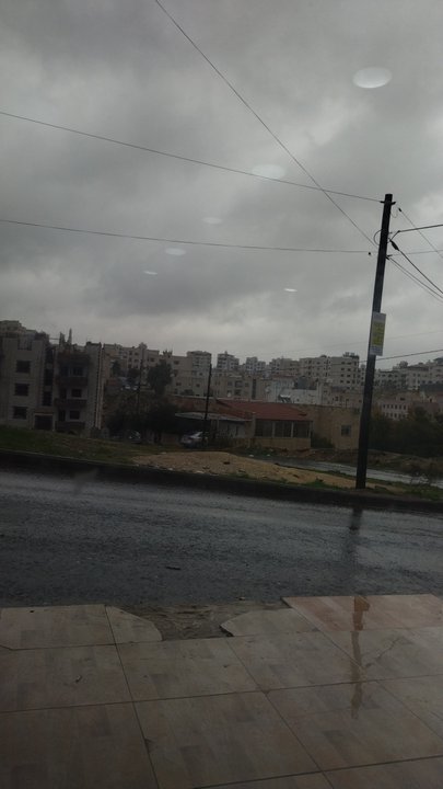 مشاركاتي في أنت الراصد