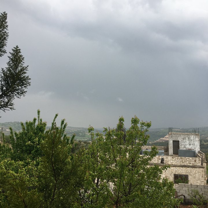 مشاركاتي في أنت الراصد