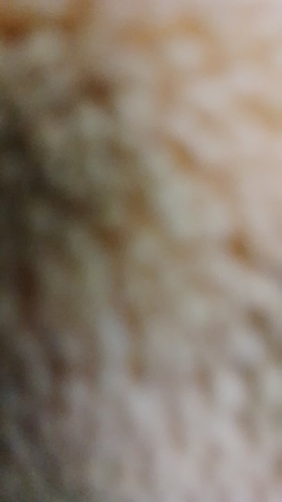 My Crowdsourcing Posts