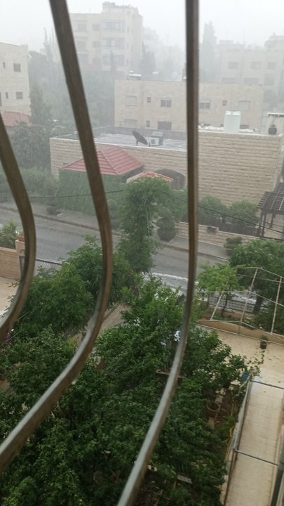 مشاركاتي في أنت الراصد