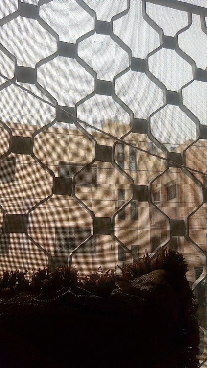 مشاركاتي في أنت الراصد