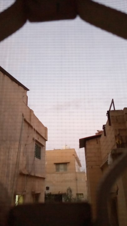 مشاركاتي في أنت الراصد