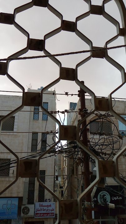 مشاركاتي في أنت الراصد