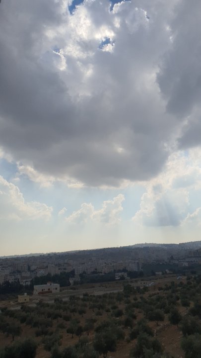 مشاركاتي في أنت الراصد