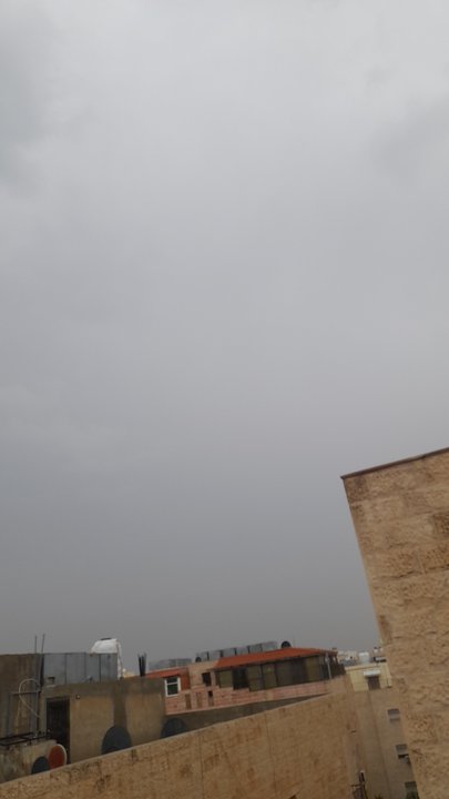 مشاركاتي في أنت الراصد