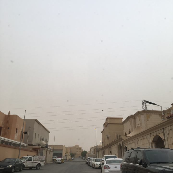 مشاركاتي في أنت الراصد