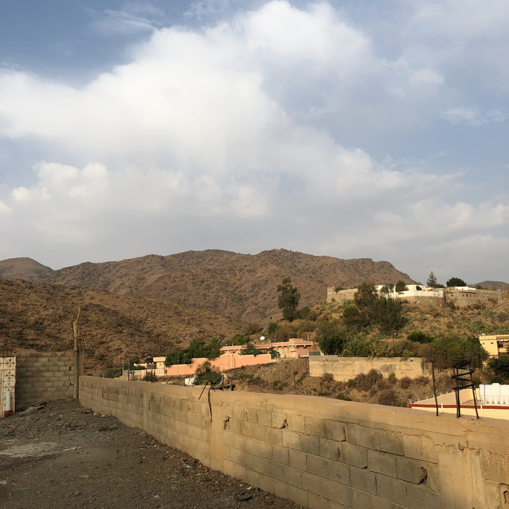 مشاركاتي في أنت الراصد