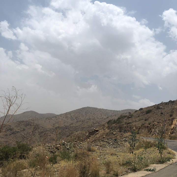 مشاركاتي في أنت الراصد