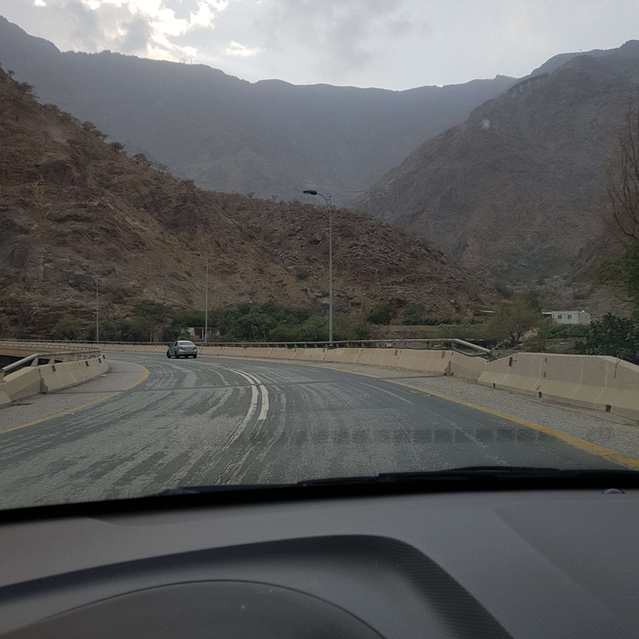 مشاركاتي في أنت الراصد